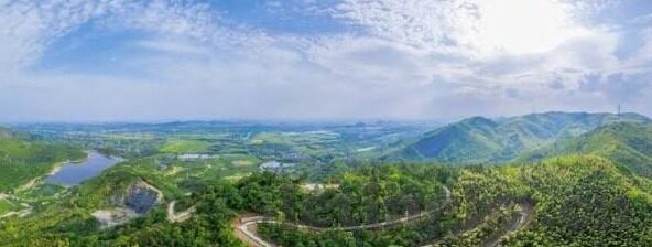 污91软件下载大象传媒-探索数字娱乐的边界，从污91软件到大象传媒的多元视角